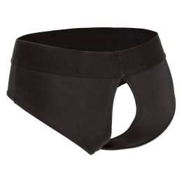 Her Royal Harness Backless Brief - L/xl
